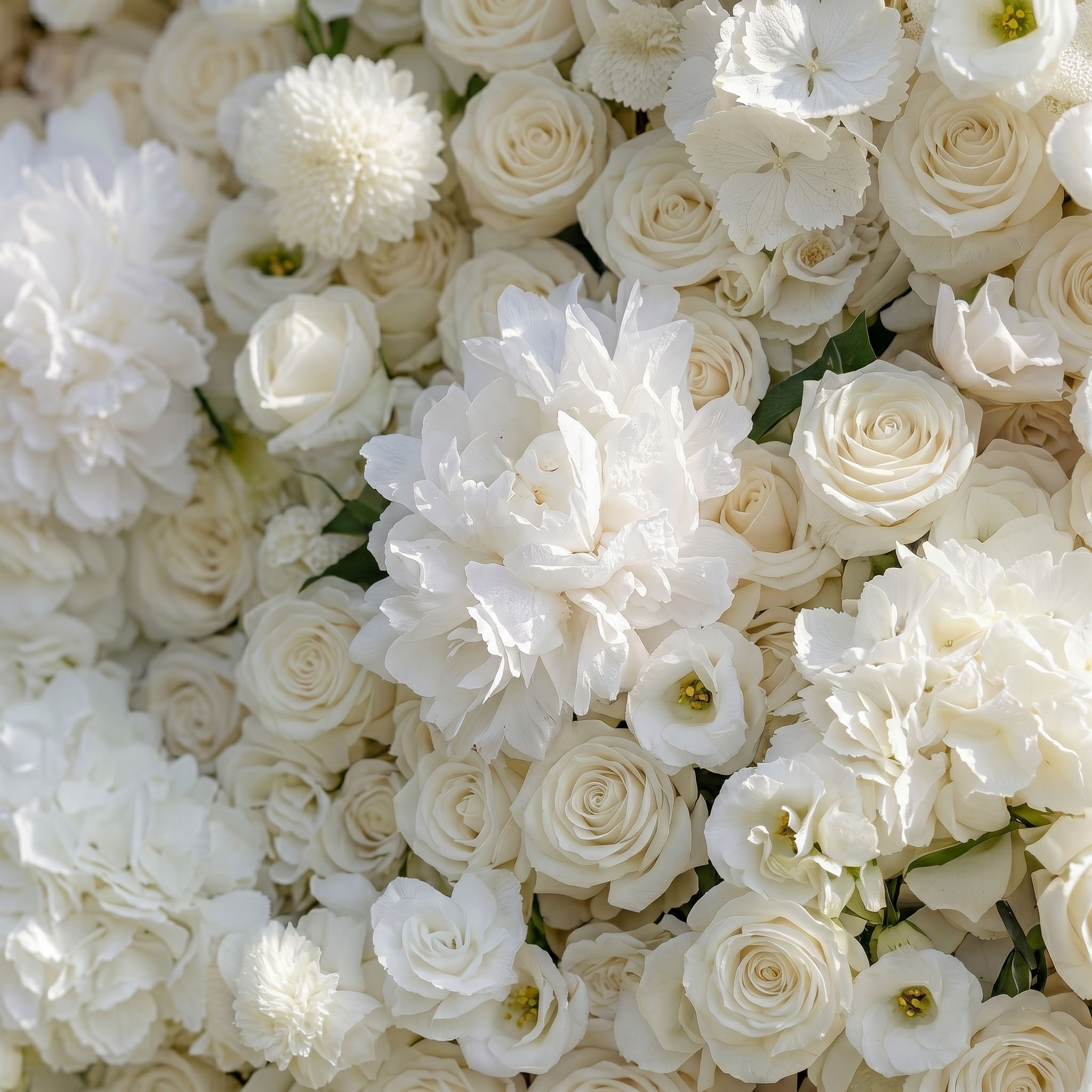 White rose flower wall backdrop styled for a GTA wedding ceremony
